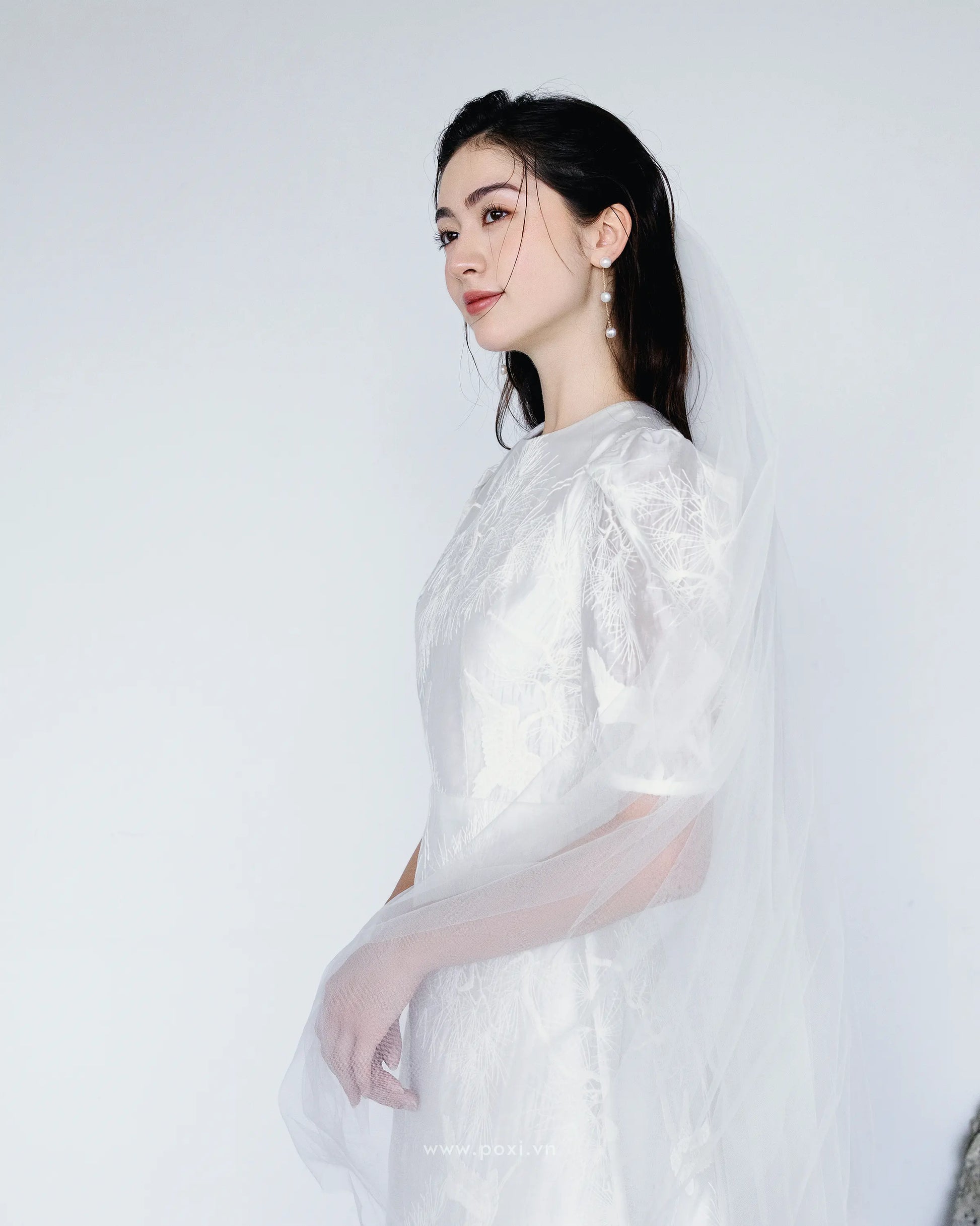 Đầm voan thêu cổ tròn tay ngắn dáng váy Aline - D1993 Regular