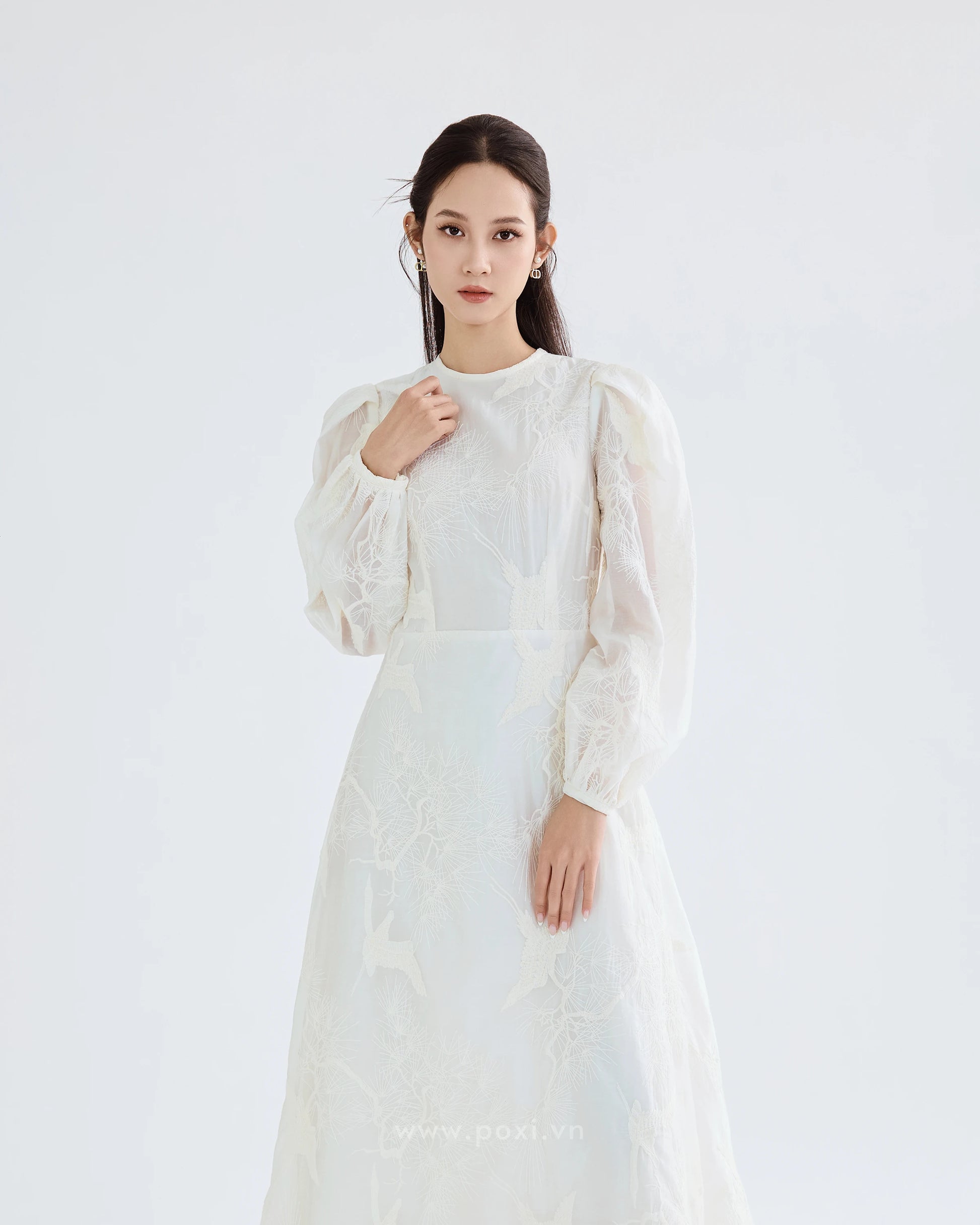 Đầm voan thêu cổ tròn tay dài váy Aline xòe nhẹ - D1974 Regular