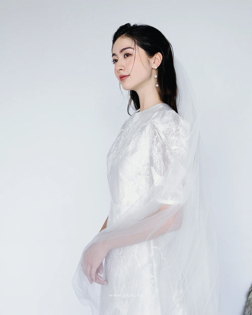 Đầm voan thêu cổ tròn tay ngắn dáng váy Aline - D1993 Regular