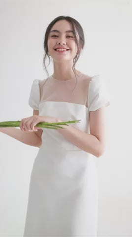 Đầm cổ tròn phối lưới thân trên, dáng váy Aline  - D1870 Regular